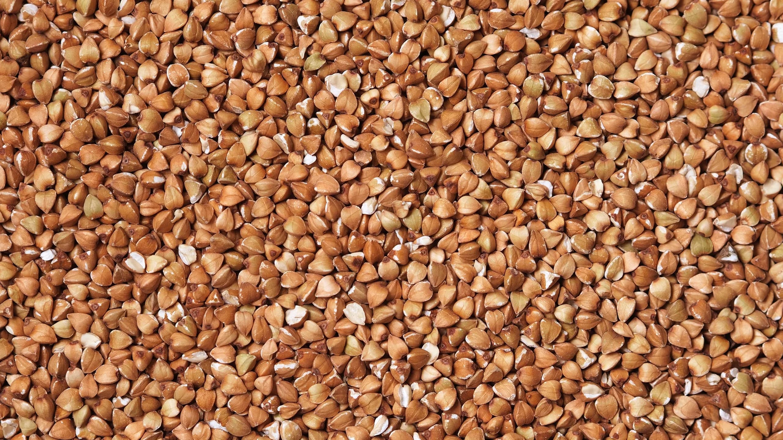 Buckwheat