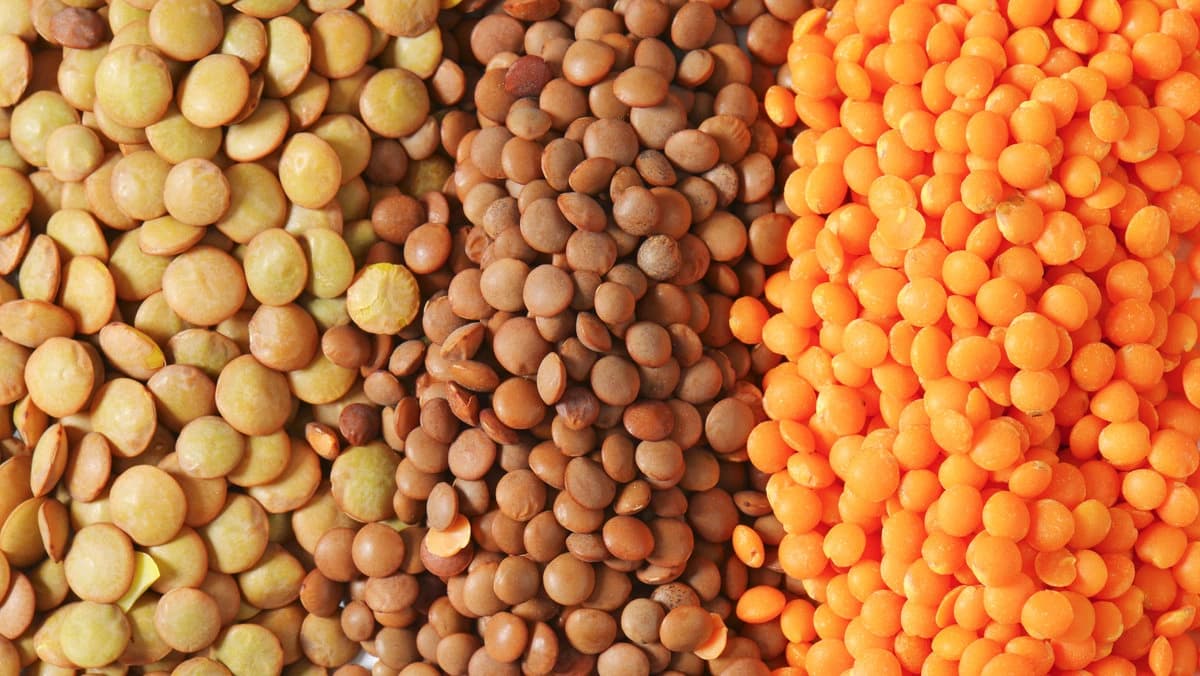 Lentils